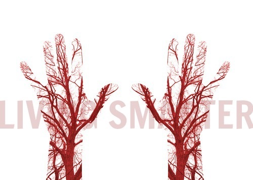 Trigger Points and Blood Vessels